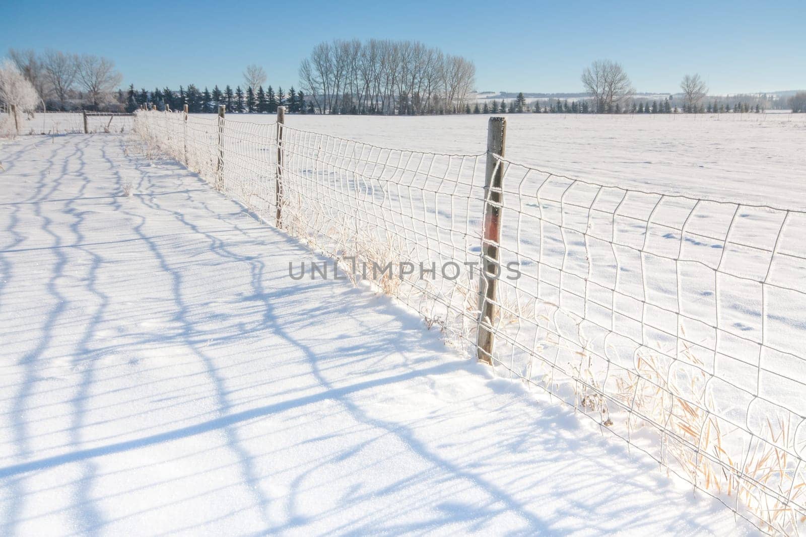 A prairie winter landscape of a fence in the snow with shadows.