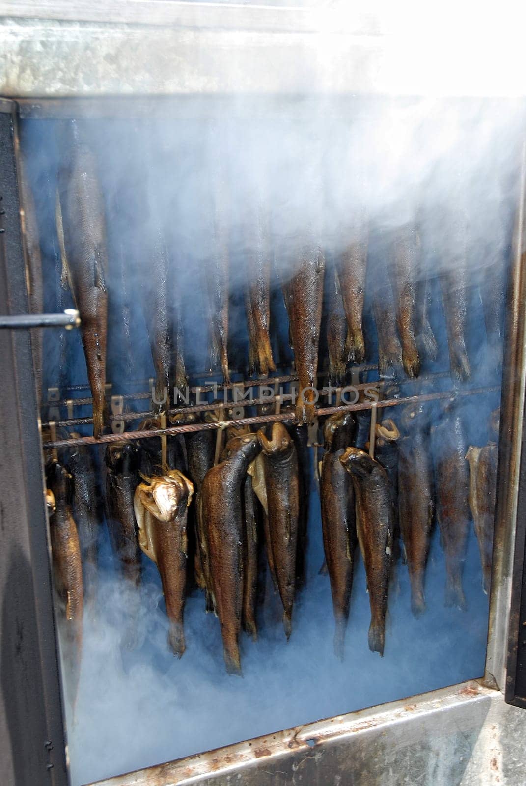 Fish in a smoking smoker