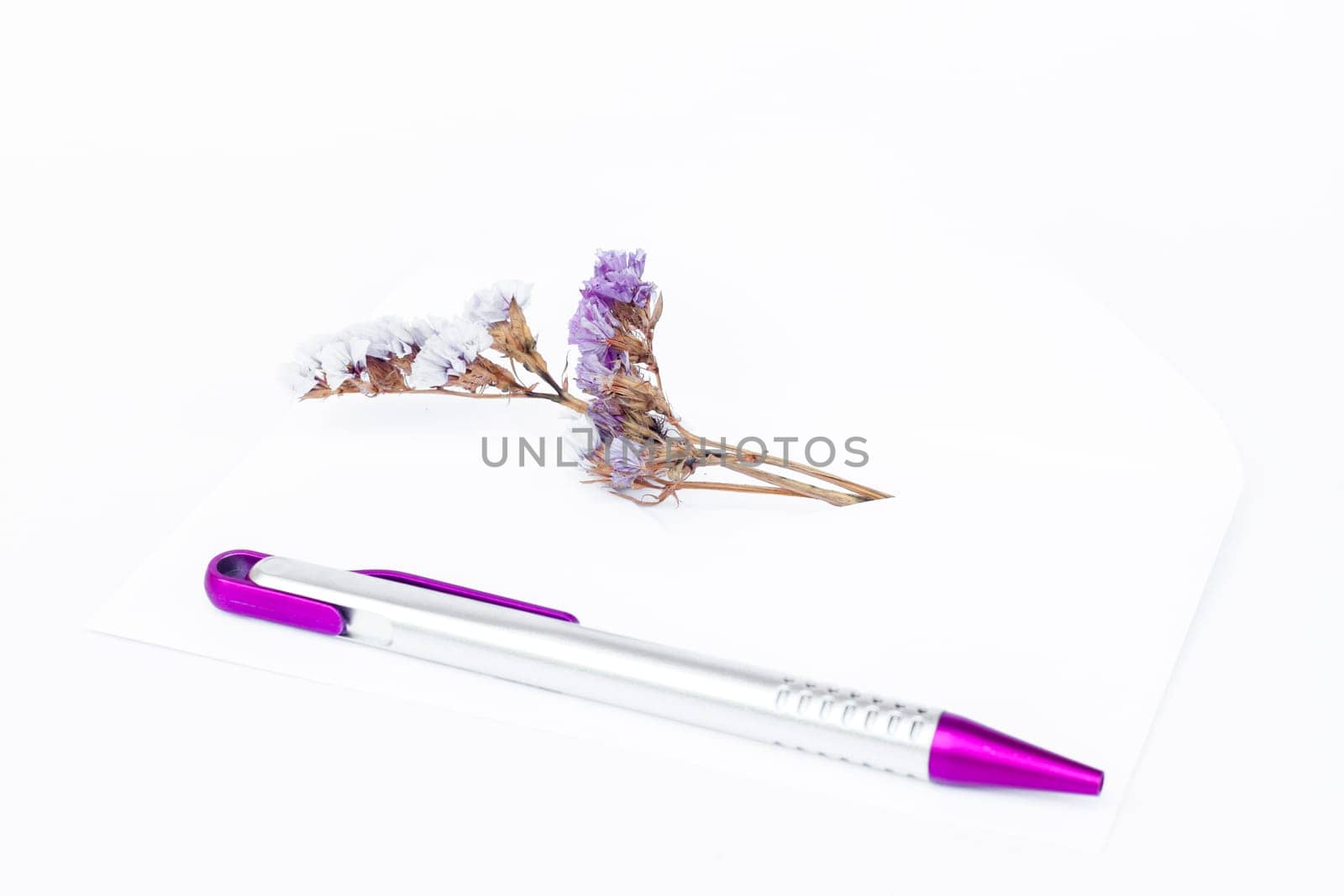 Envelope with pen isolated on white background, stock photo