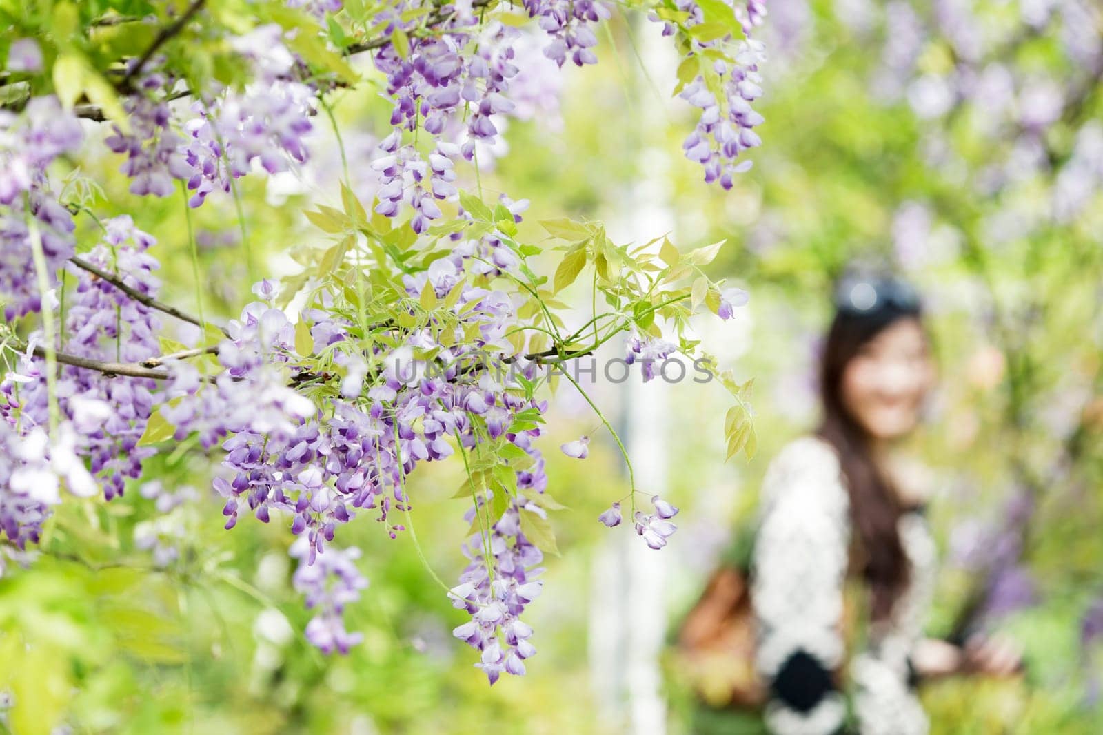 New Taipei City,Taiwan - Apr 11,2012