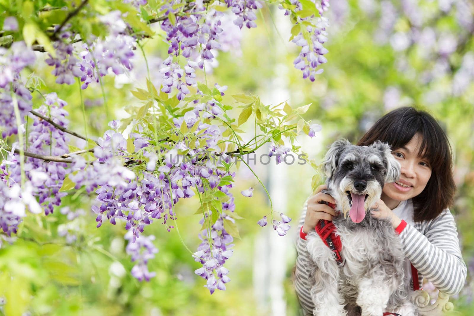 New Taipei City,Taiwan - Apr 11,2012