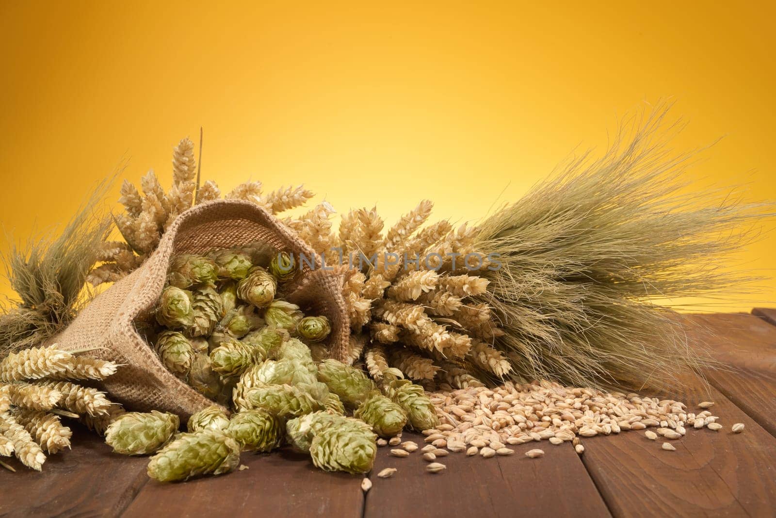Beer ingredients - wheat,barley,hops and malt