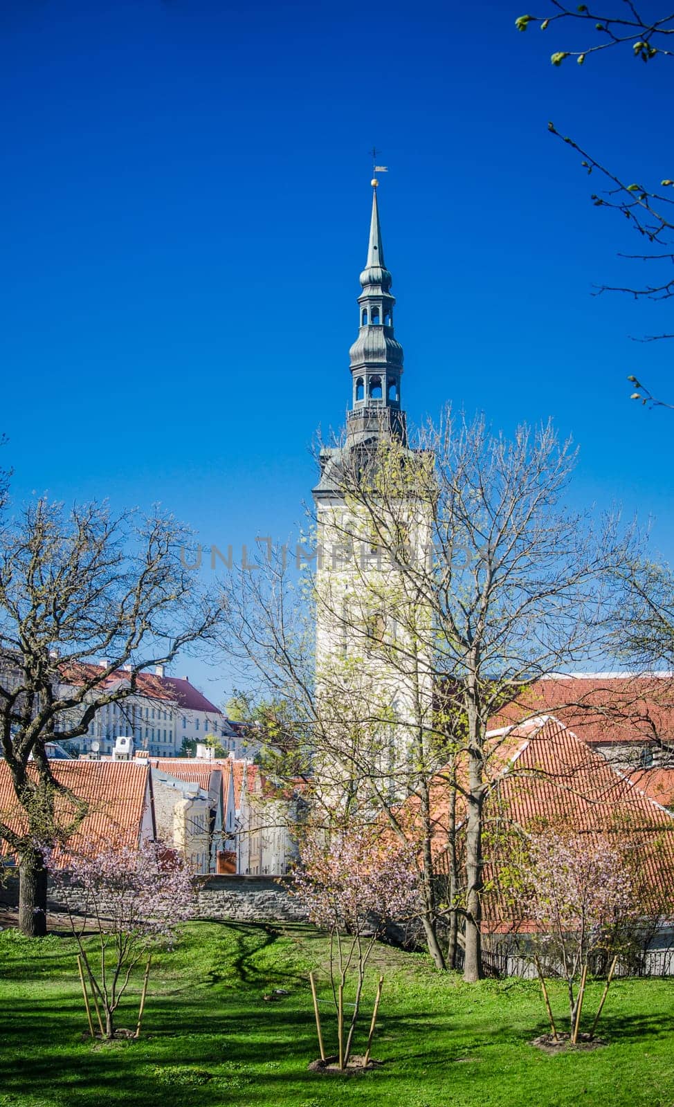 View of the Old Tallinn beautiful spring day. Estonia