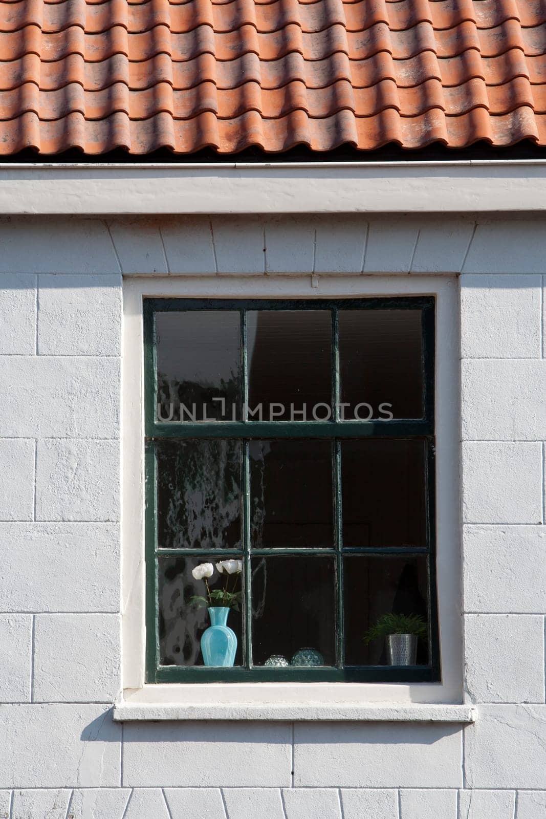 Vase with flowers behind the window glass