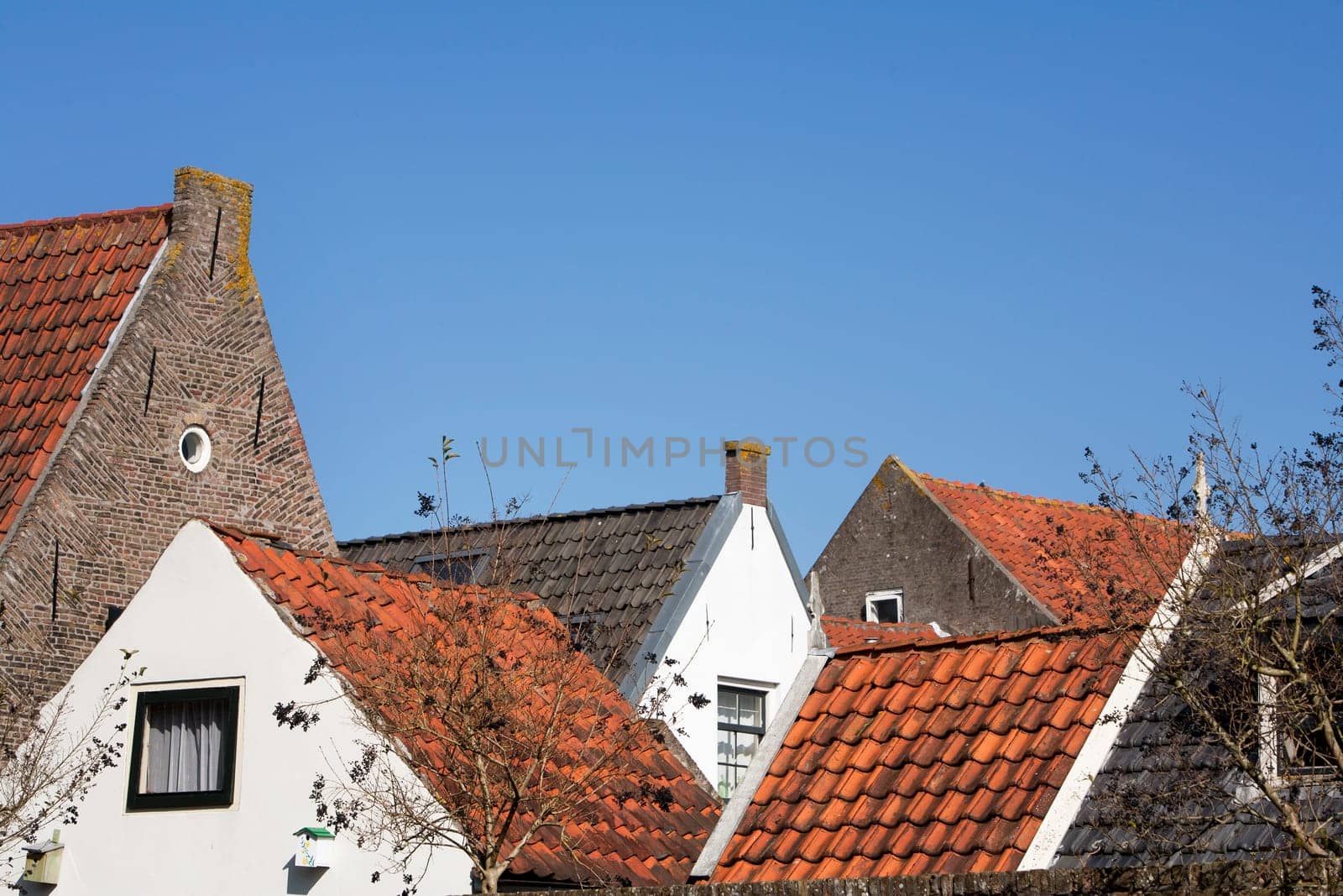 Roofs of historical houses in the city Haastrecht, the Netherlands