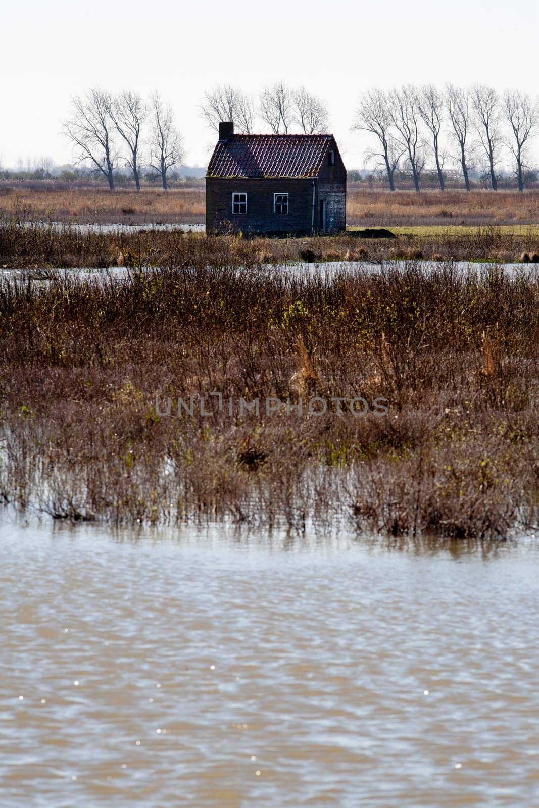 Most of the farms and houses in Tiengemeten, a freshwater tidal area in the Haringvliet estuary in the Netherlands, are abandoned and given back to nature. Tiengemeten has become a nature conservation island on which nature-based recreation is possible.