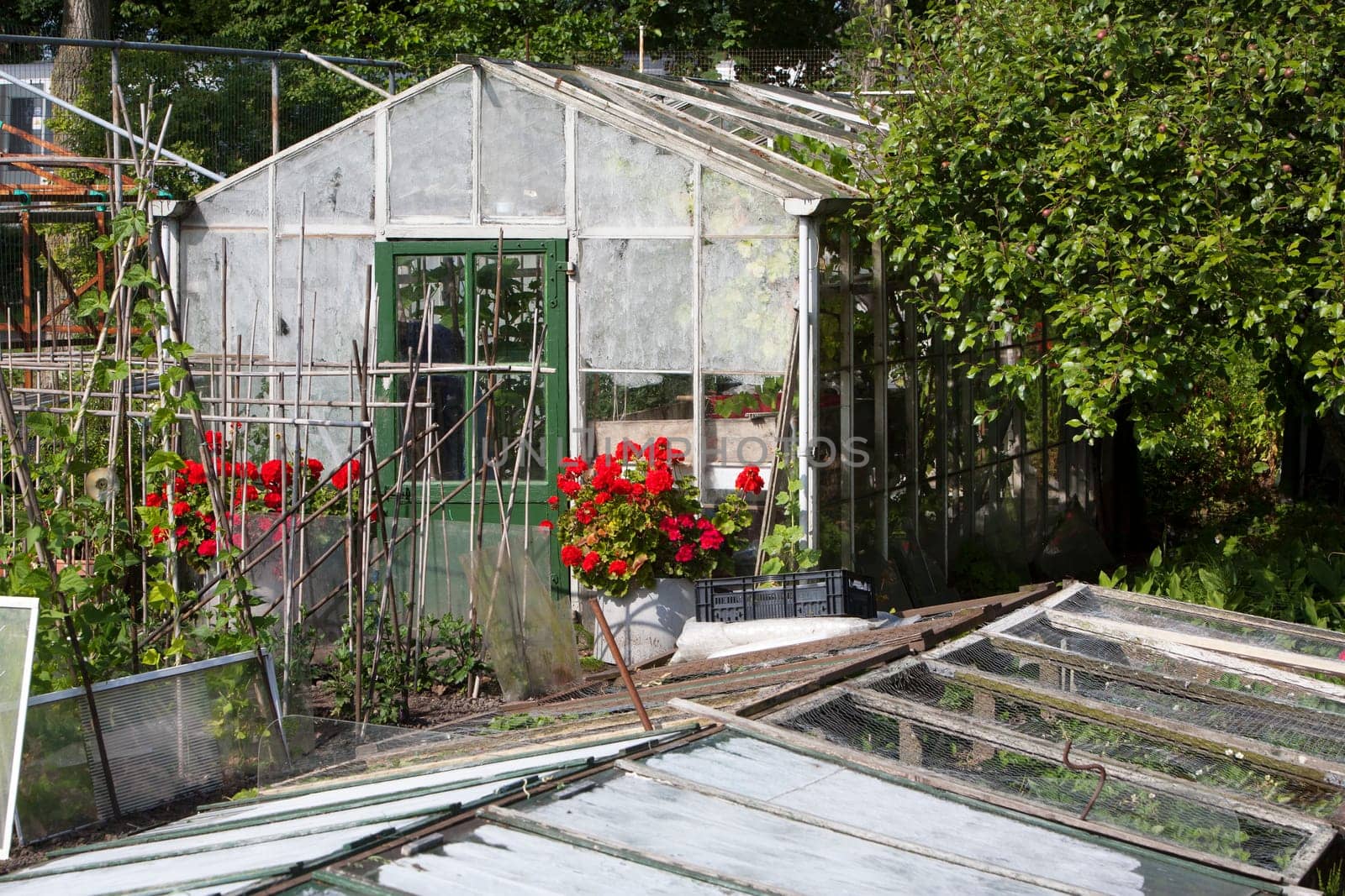Idyllic grunge greenhouse in a vegetable garden