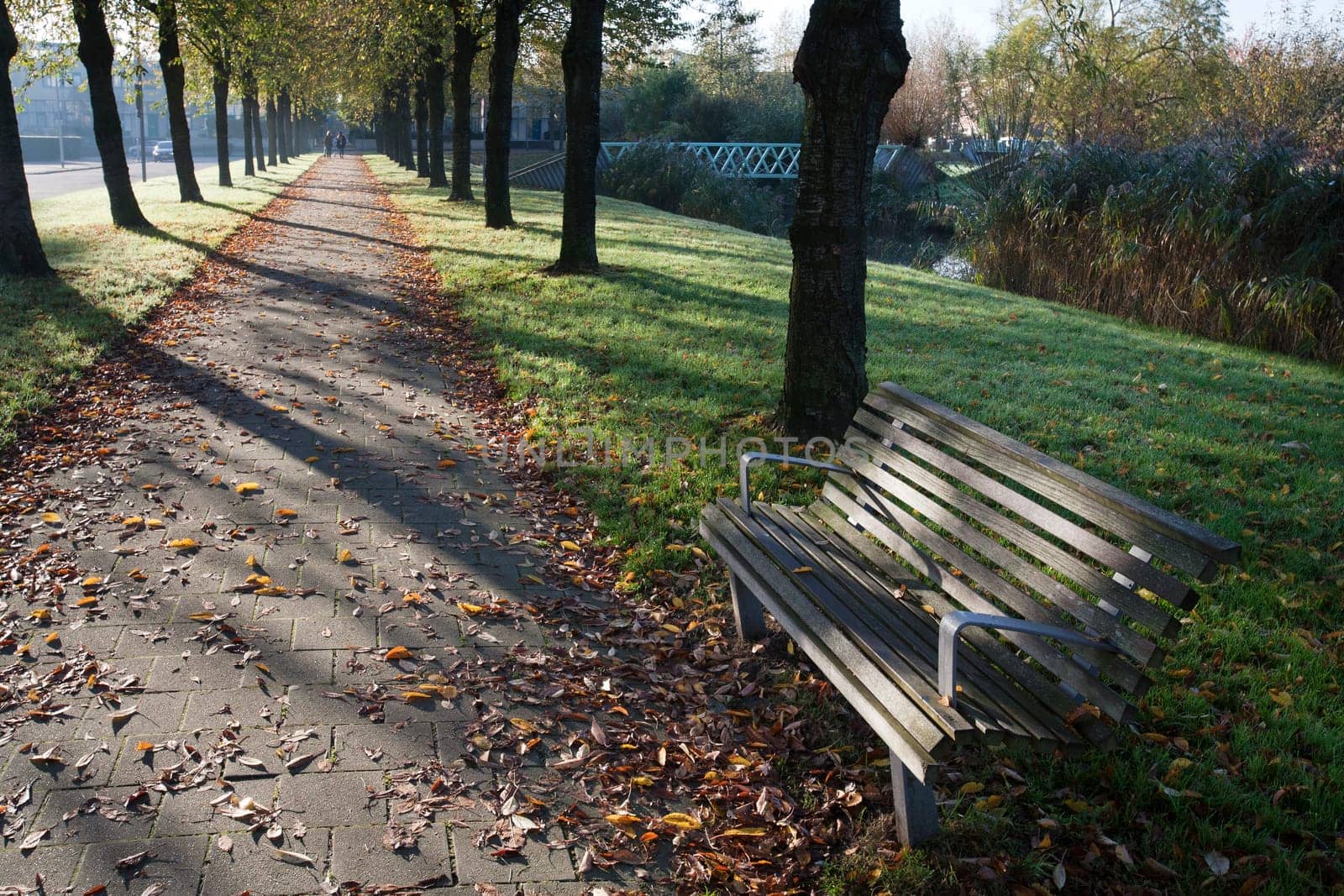 Autumn light on a public bench in Rotterdam Prinsenland in the Netherlands