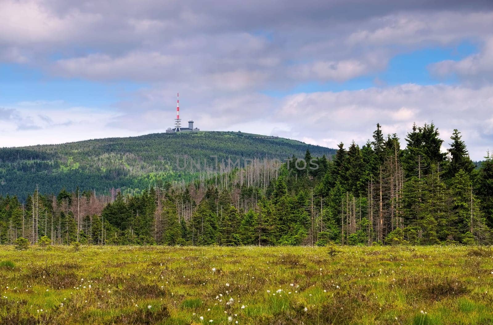 Brocken 01