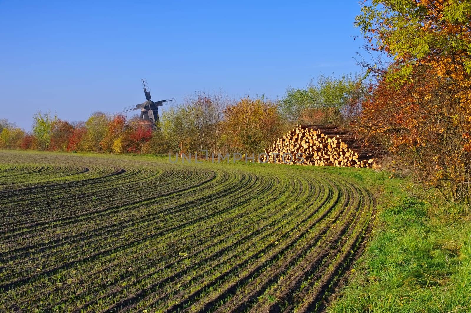 Grossraeschen in Südbrandenburg,the Windmuehle - Grossraeschen in southern Brandenburg,the windmill