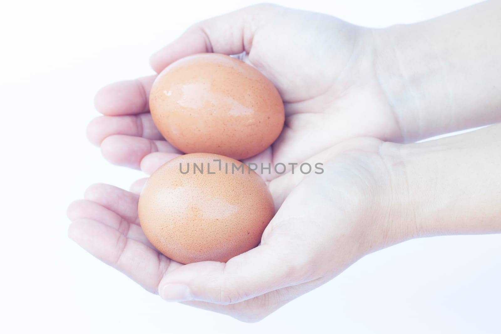 Hand holding eggs isolated on white background, stock photo isolated on white background, stock photo