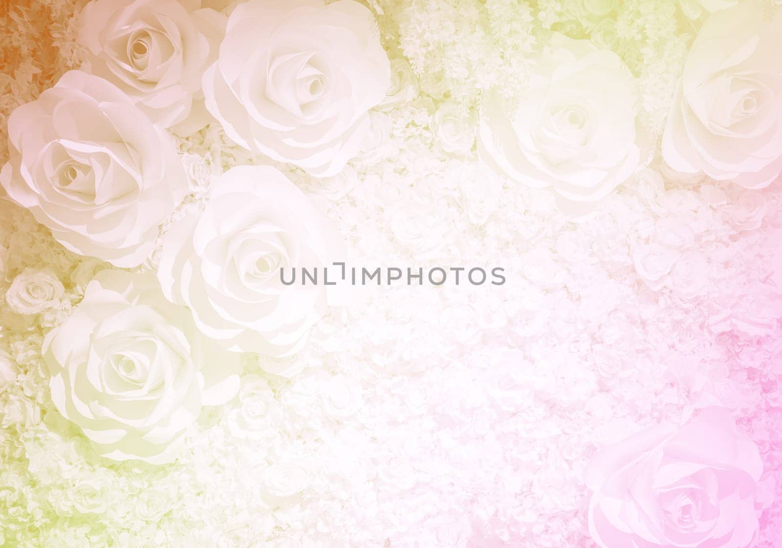Artificial rose flower background