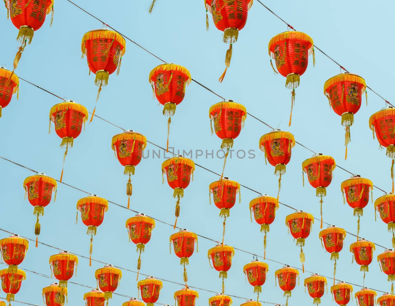 Chinese red lantern (decoration for Chinese New Year Festival)