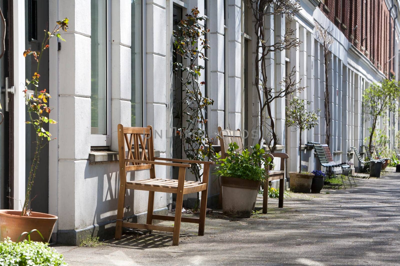 The residents have placed benches in front of their houses in this cozy street in the residential district Kralingen in Rotterdam, the Netherlands.