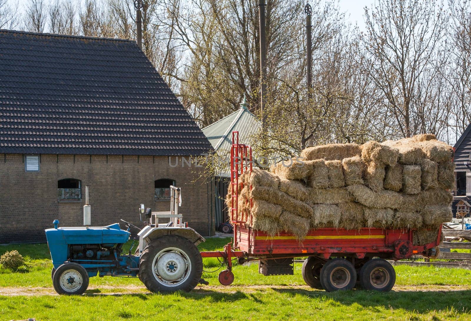 Idyllic blue retro tractor with red hay wagon.  With the farm in the background.