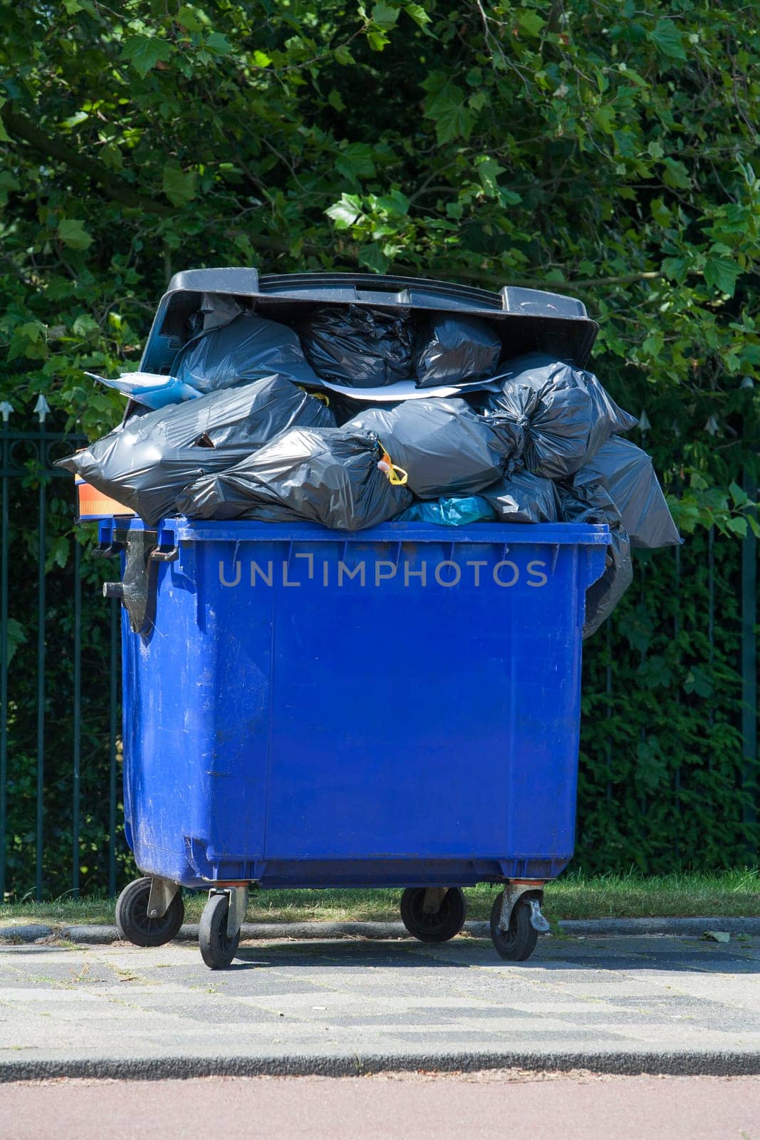 Blue wheeled garbage can overflowed with garbage bags in the street, in front of a garden fence.