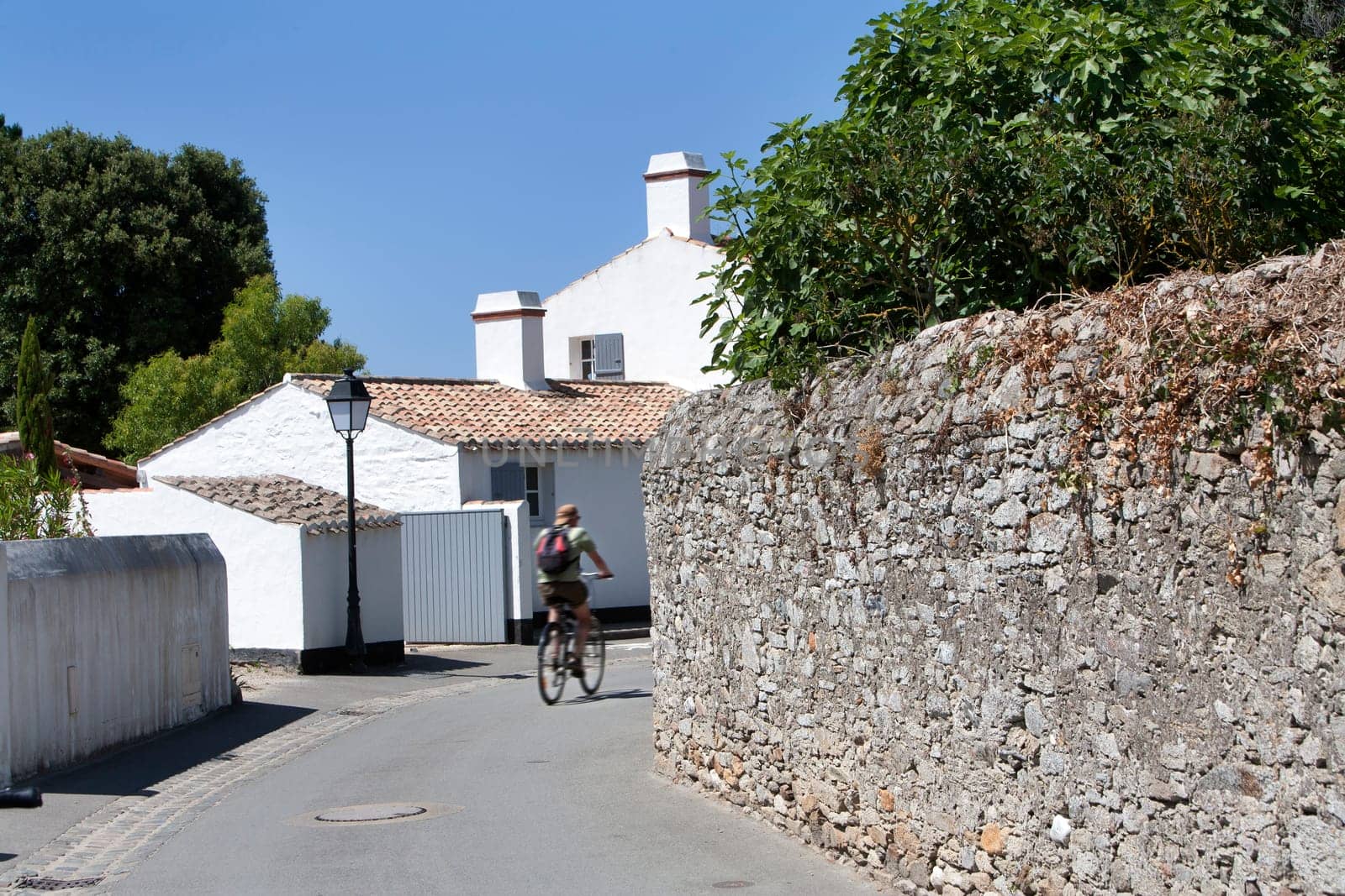 Picturesque street with white houses on Noirmoutier island, in France. And a stone wall on the right. The street is asphalted, which is nice for cyclists.