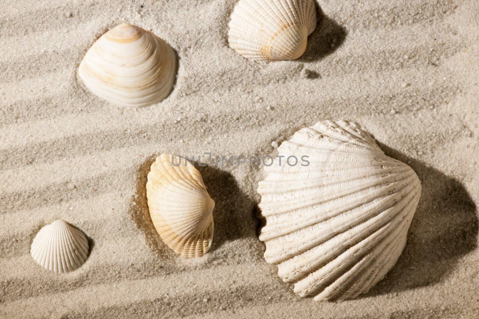 format-filling close-up of a patterned sandy area with cockles lying on it as a top view
