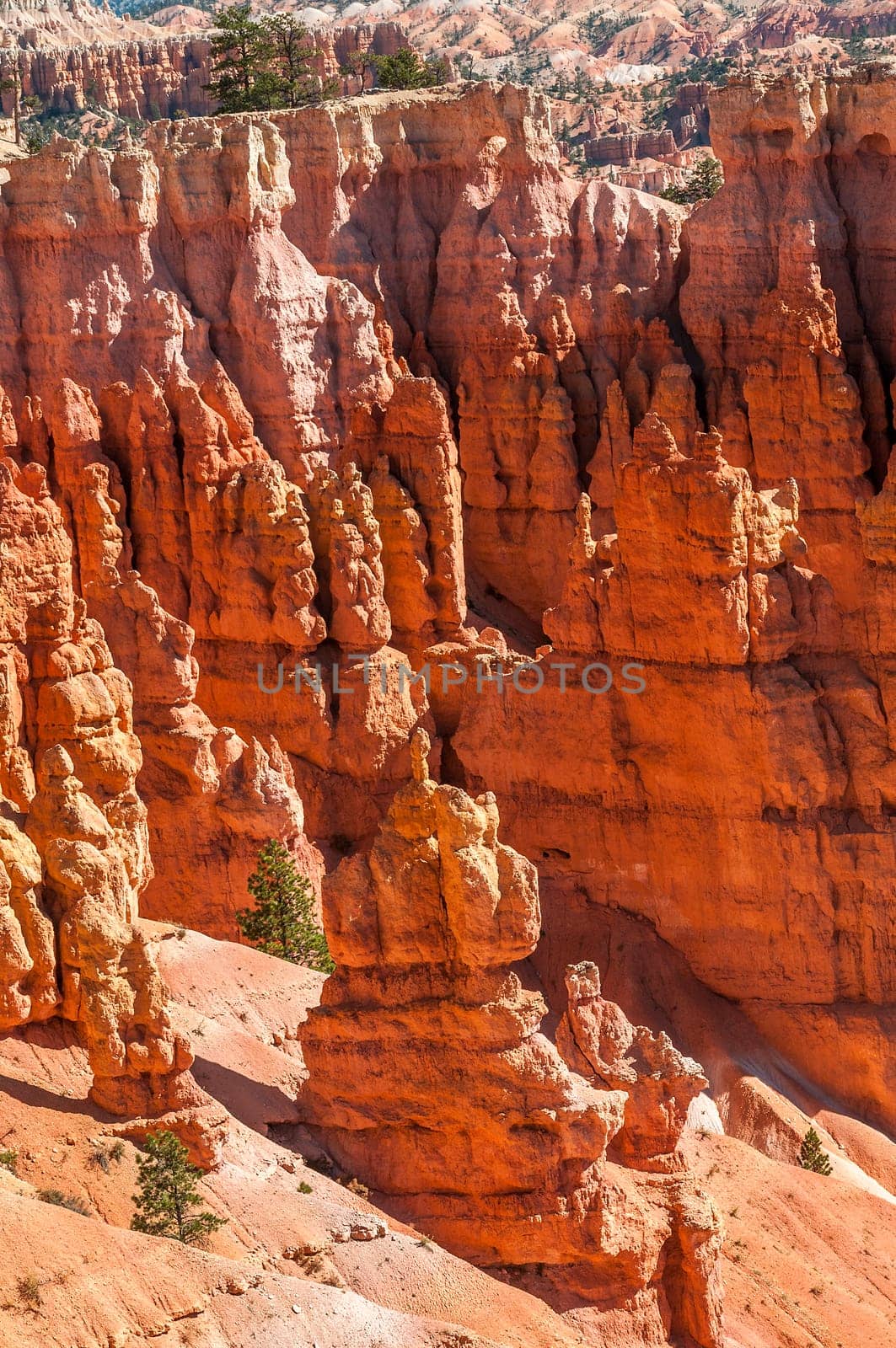 spectacular Hoodoo rock spires of Bryce Canyon, Utah, USA