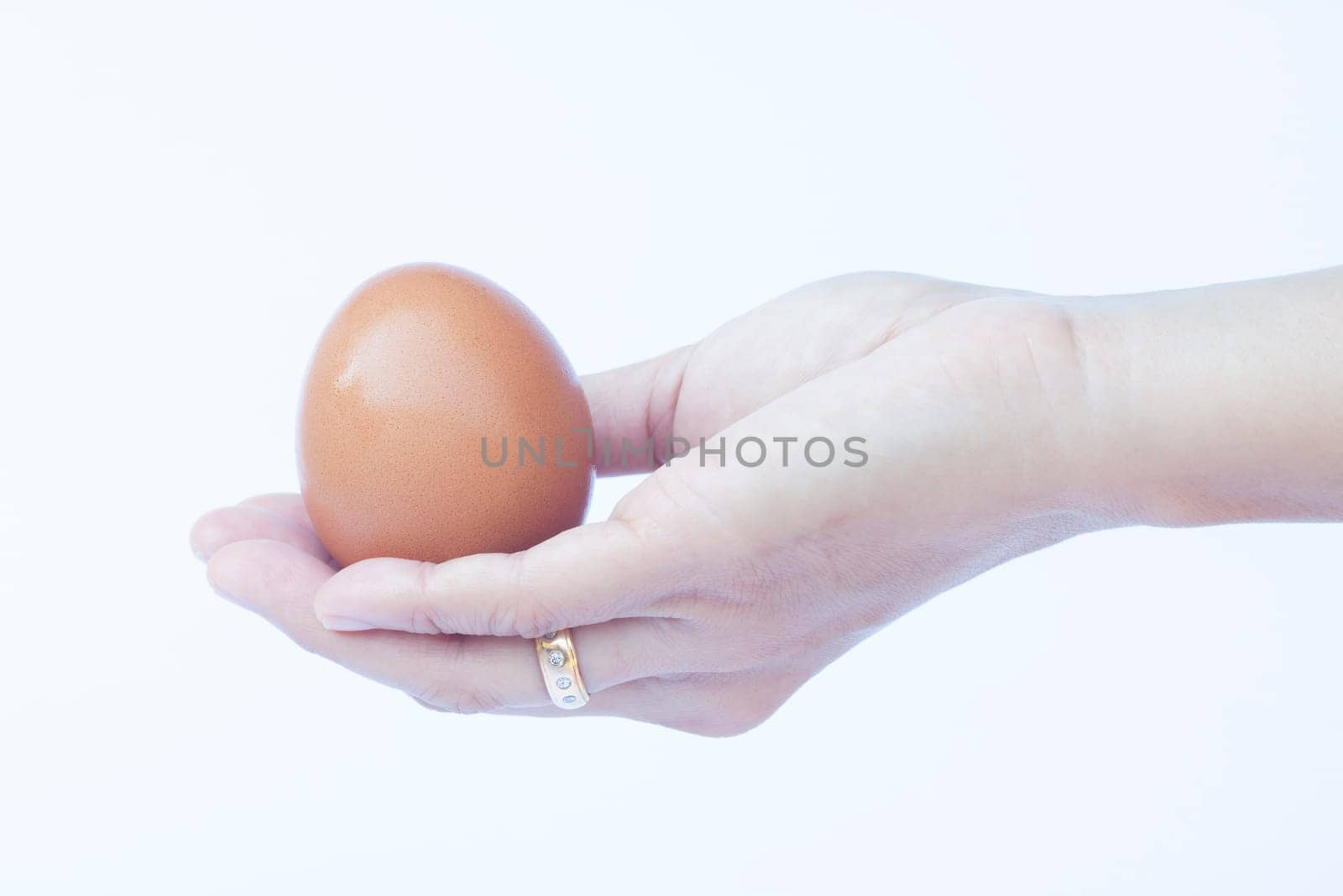Hand holding egg isolated on white background, stock photo