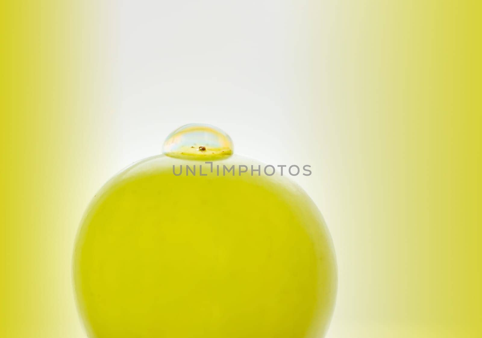 Grape with water drops
