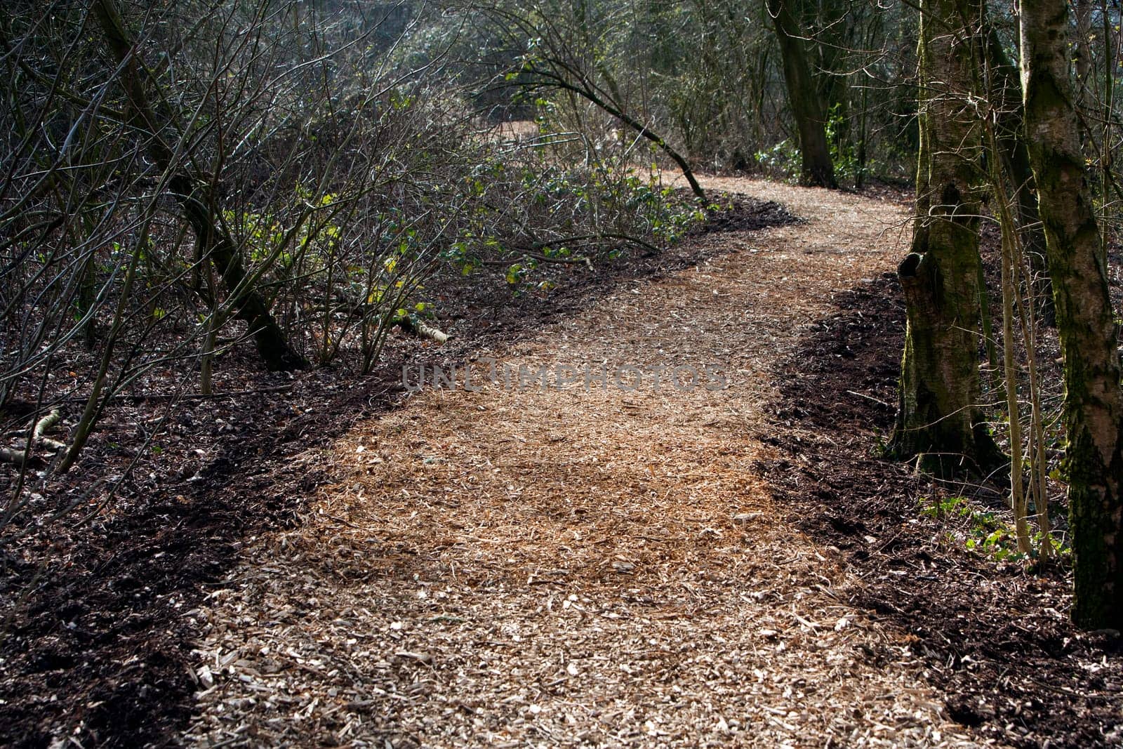 Wood chip footpath in a park