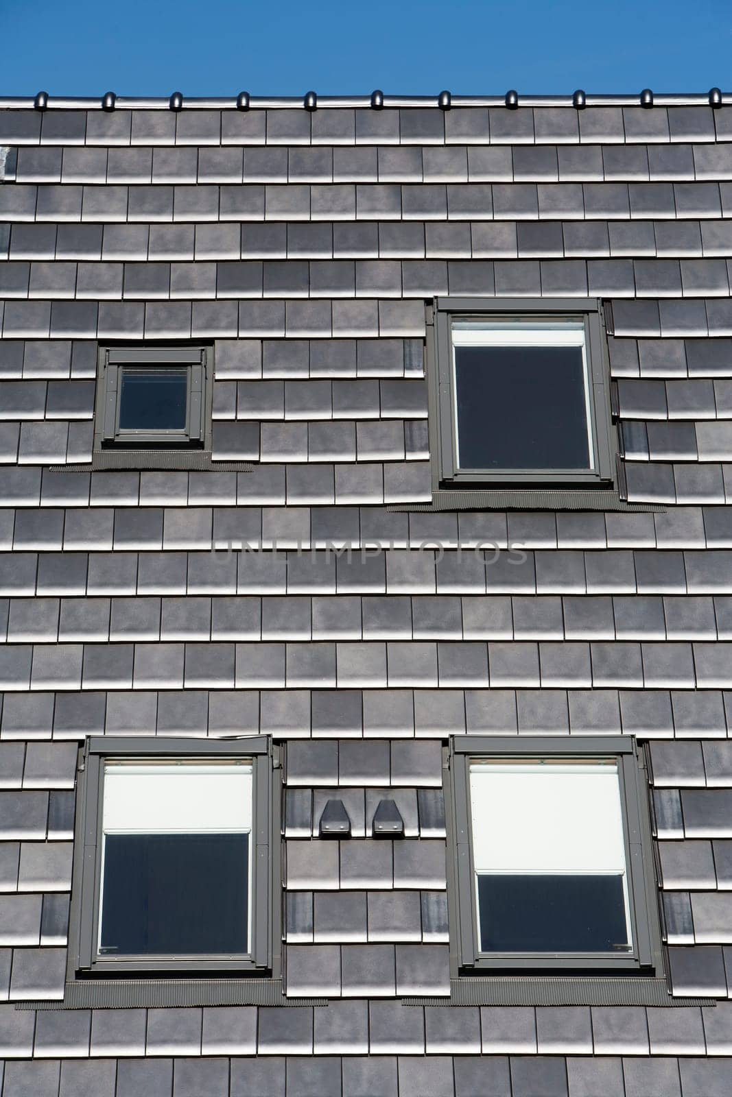 Stylish dark grey roof with skylights