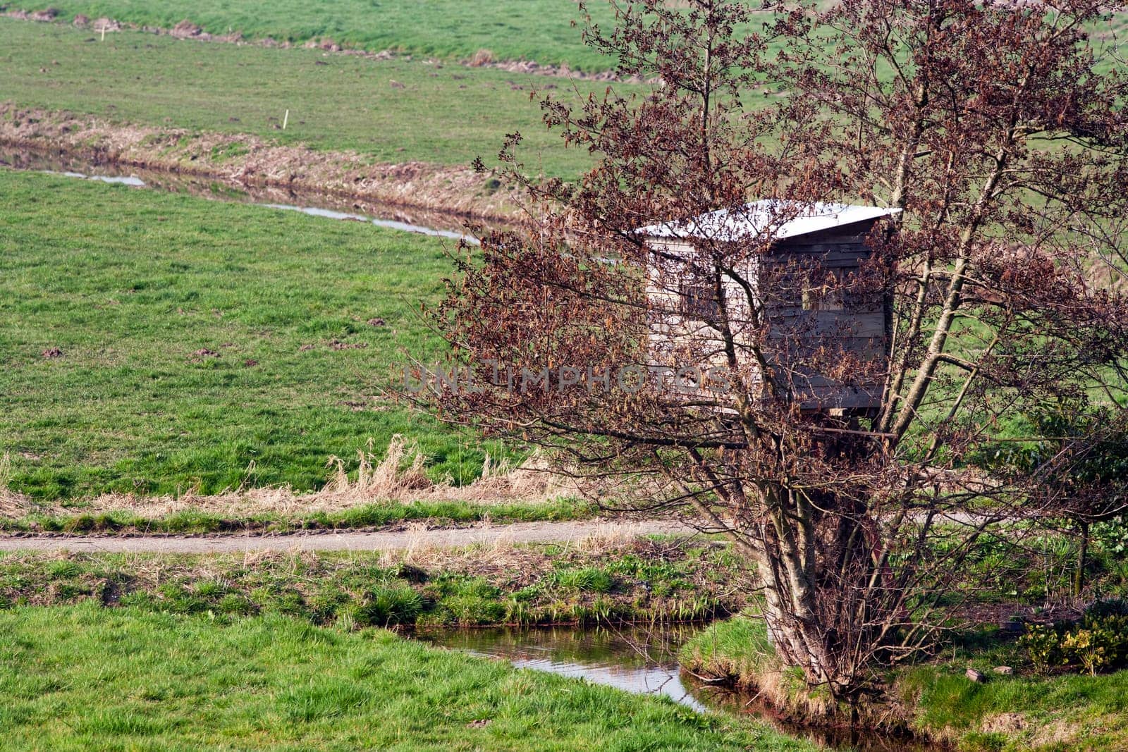 Tree house in winter season