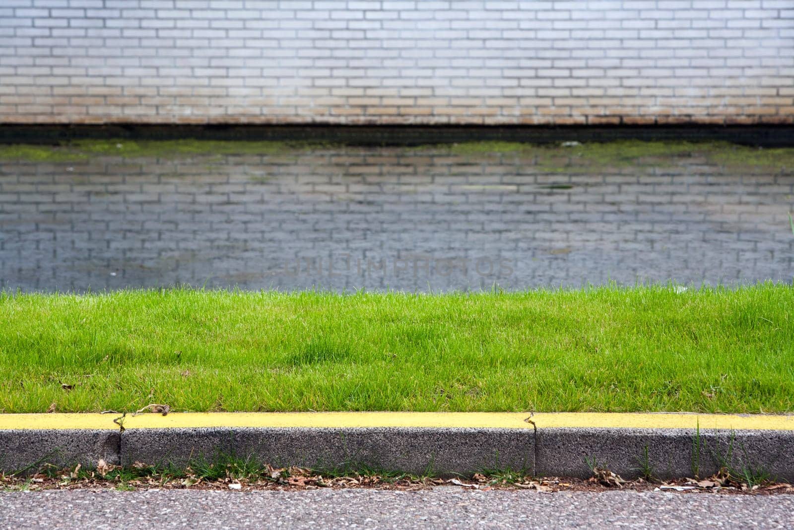 Grass, water and a yellow curb. No way to park here.