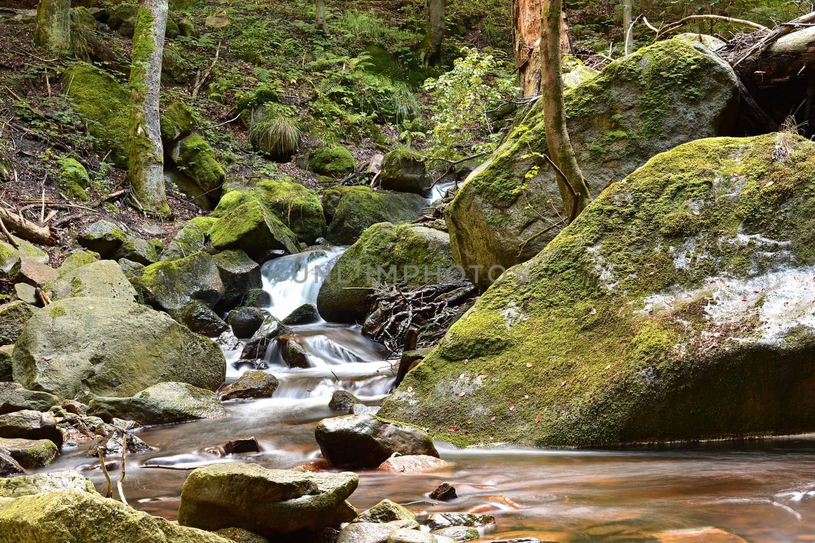 The river Ilse near Ilsenburg in the Harz National Park at the foot of the Brocken