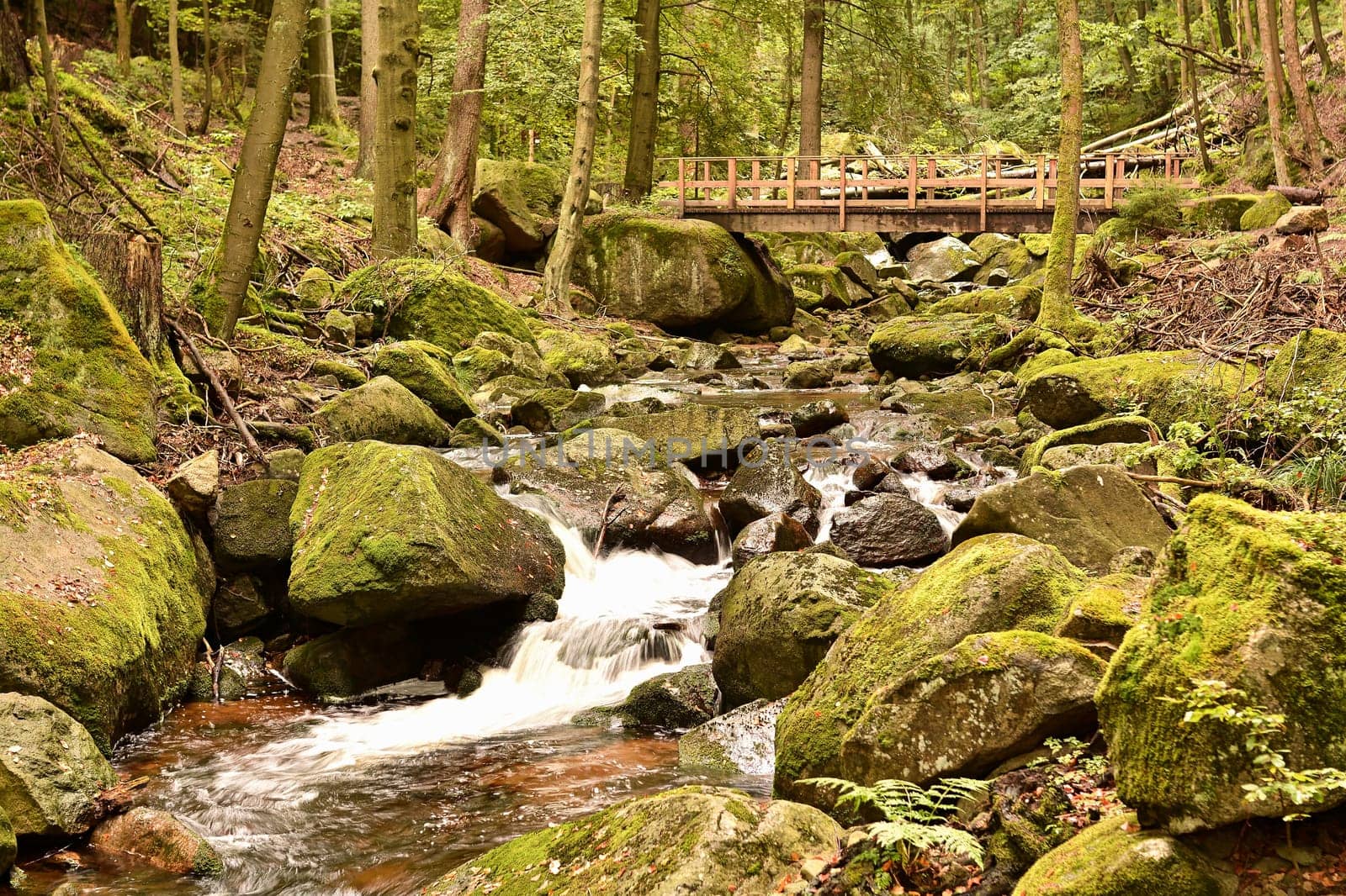 The river Ilse near Ilsenburg in the Harz National Park at the foot of the Brocken