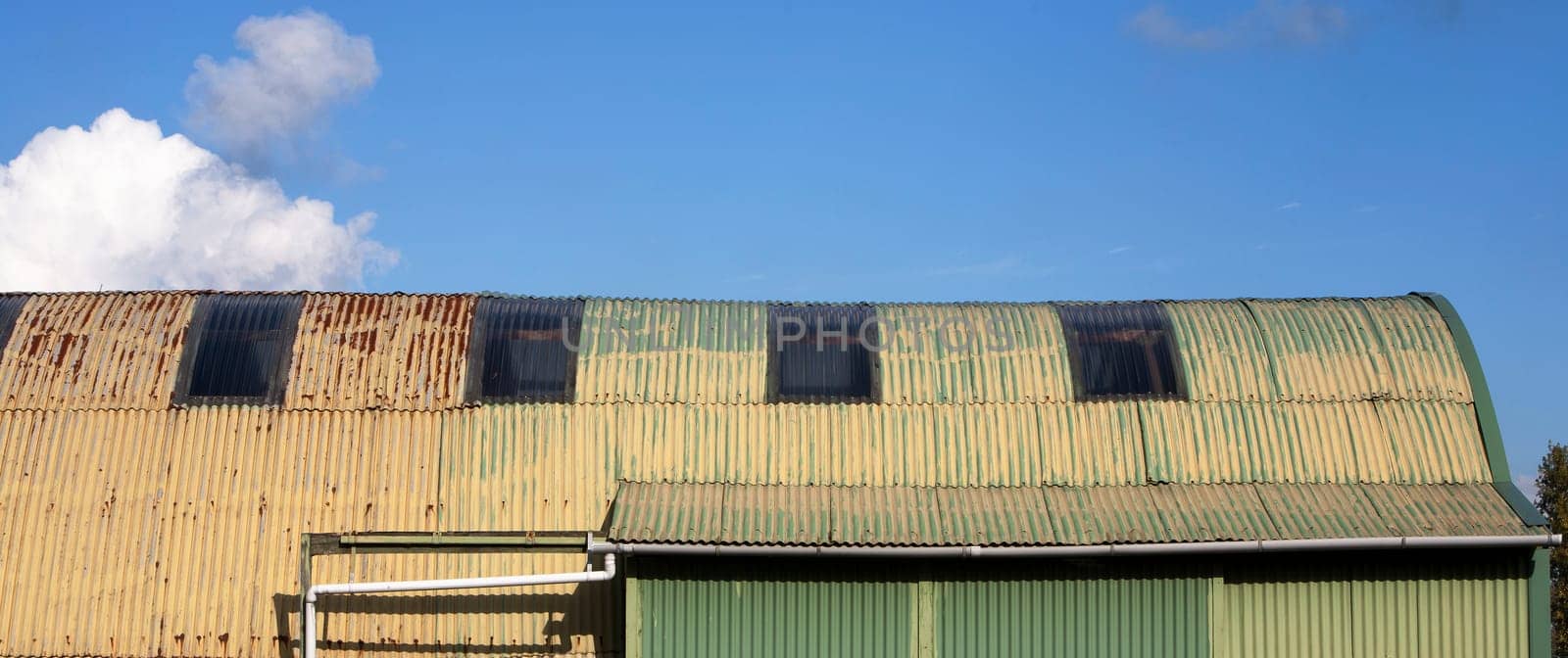 Old yellow green shed made from corrugated iron sheets