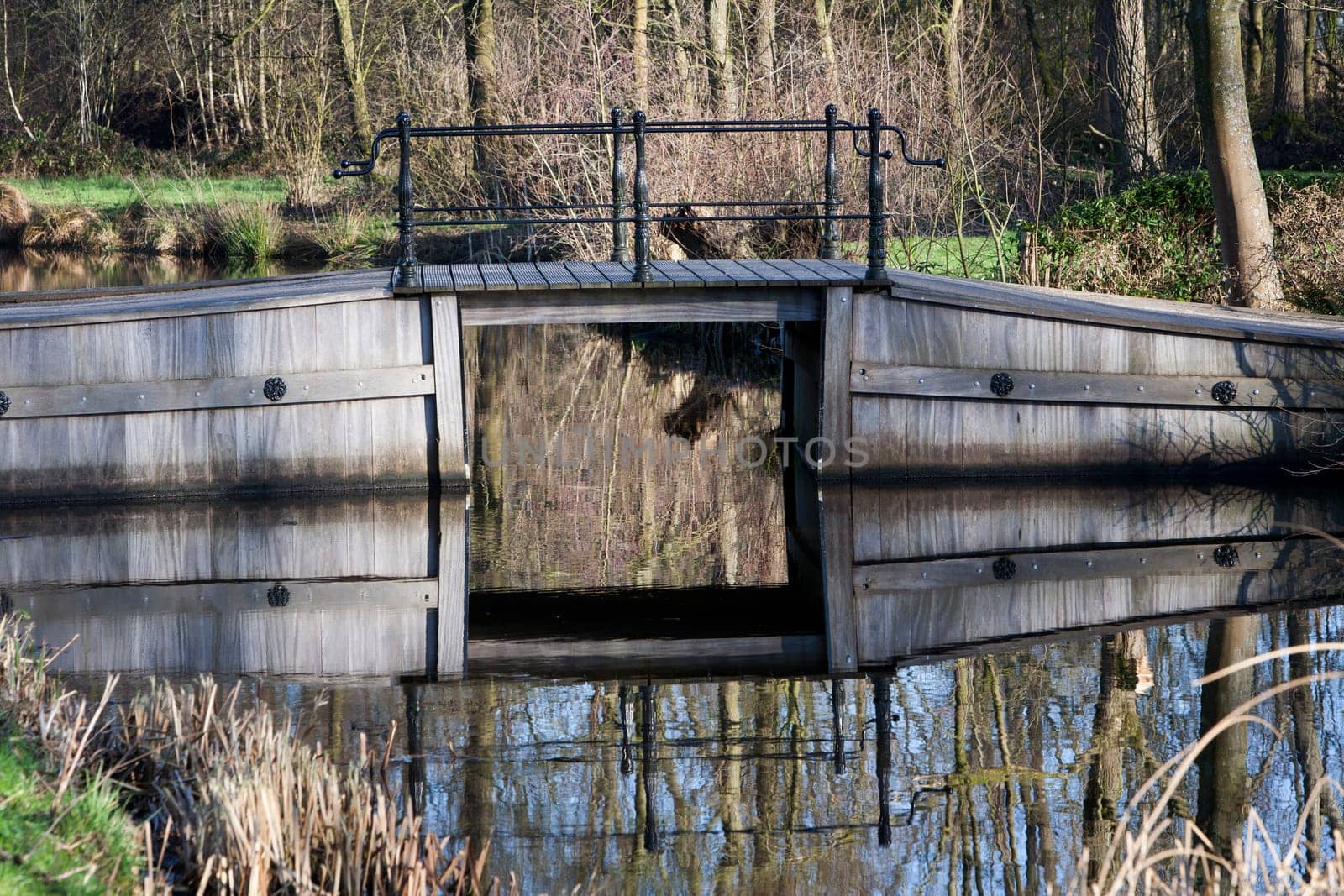 Hardwood bridge in a green environment.