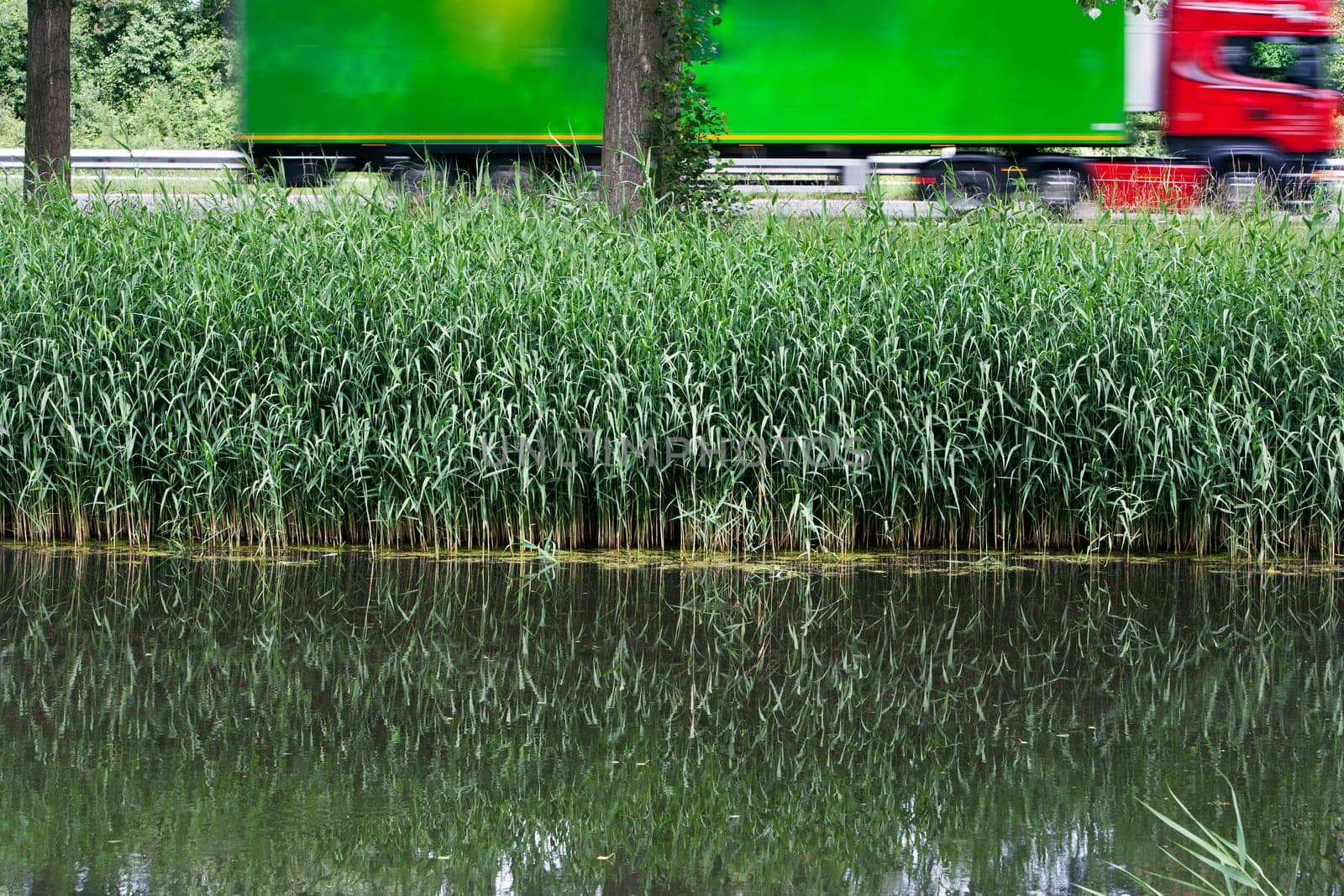 Nature and green next to the highway where a trucker is doing its job