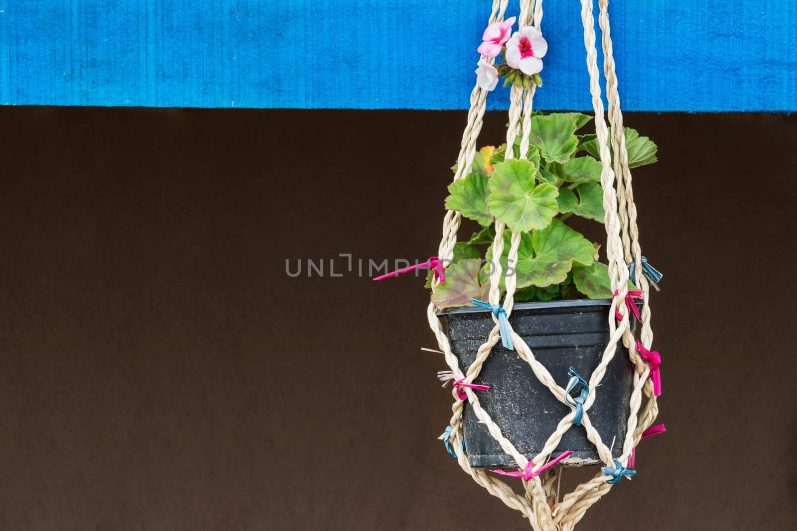 Close up view of  flower vase hanged on brown wall.
