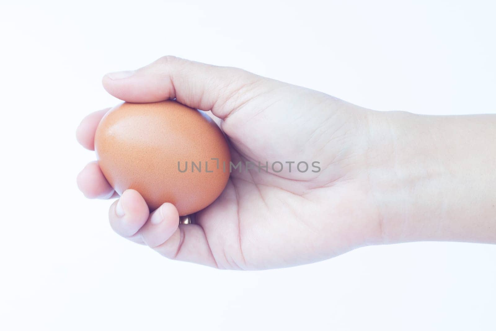 Hand holding egg isolated on white background, stock photo