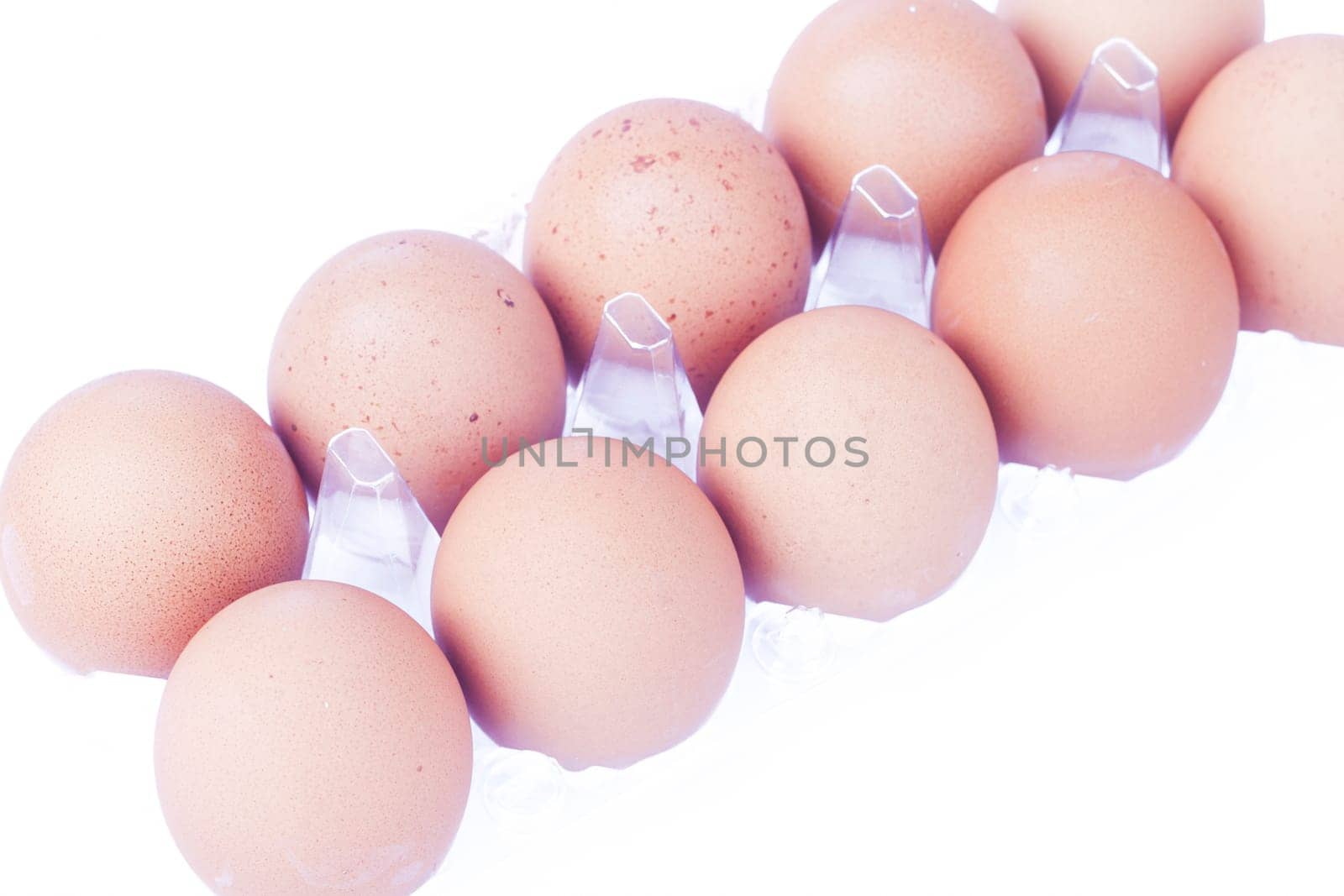 Eggs isolated on white background, stock photo