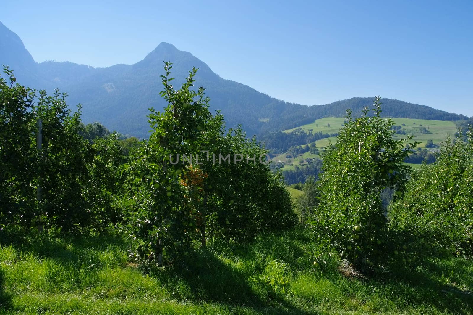 Eisack Valley in the Dolomites - Eisack valley in italian Dolomites 01