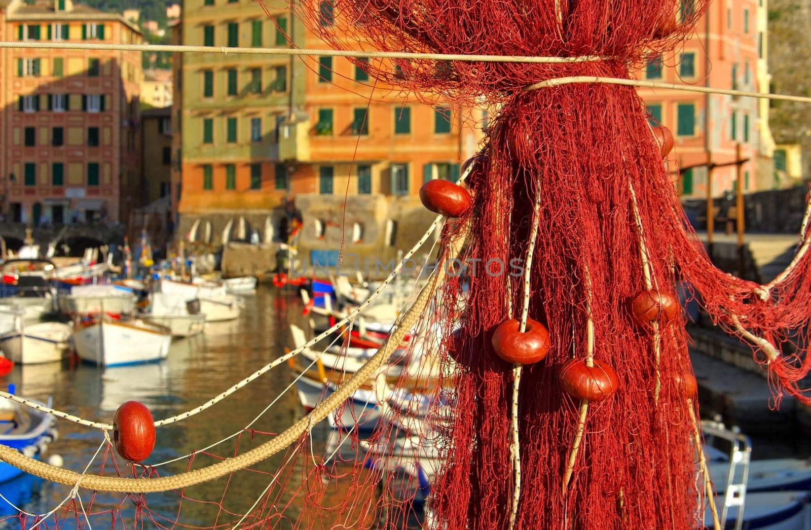 Camogli Fishing Nets - Camogli fishing net 10