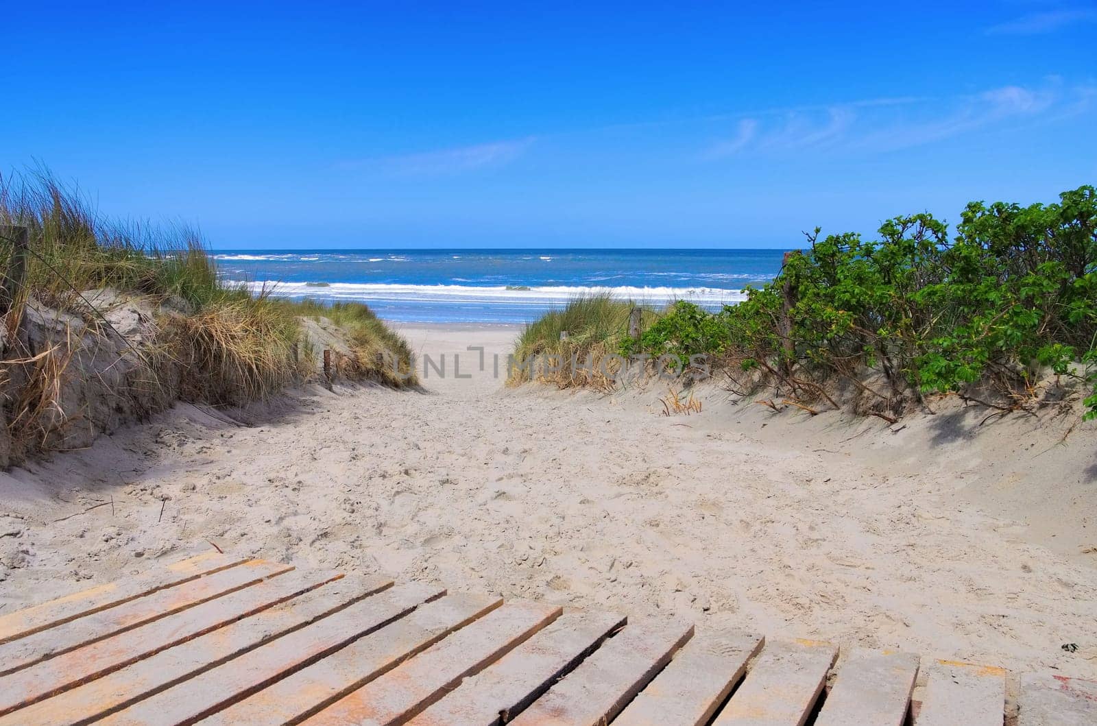Langeoog Duene with way - Langeoog dune and track 02