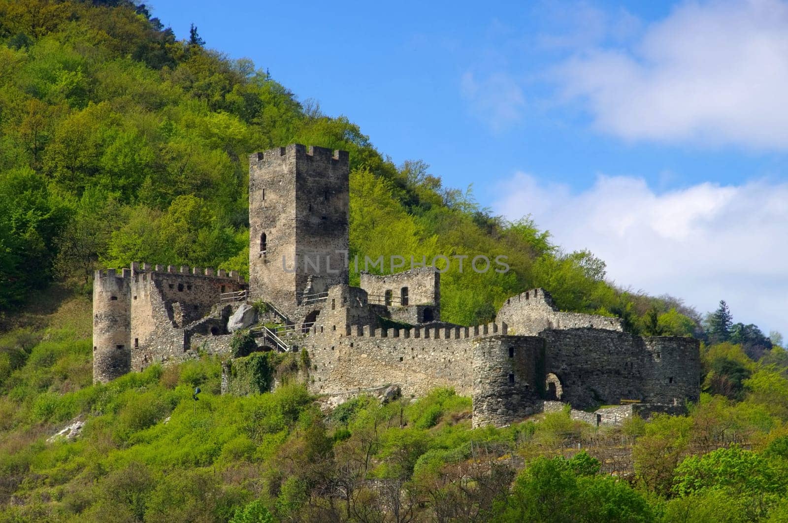 Spitz Ruin Ehinterhaus - Spitz castle ruin Hinterhaus 06