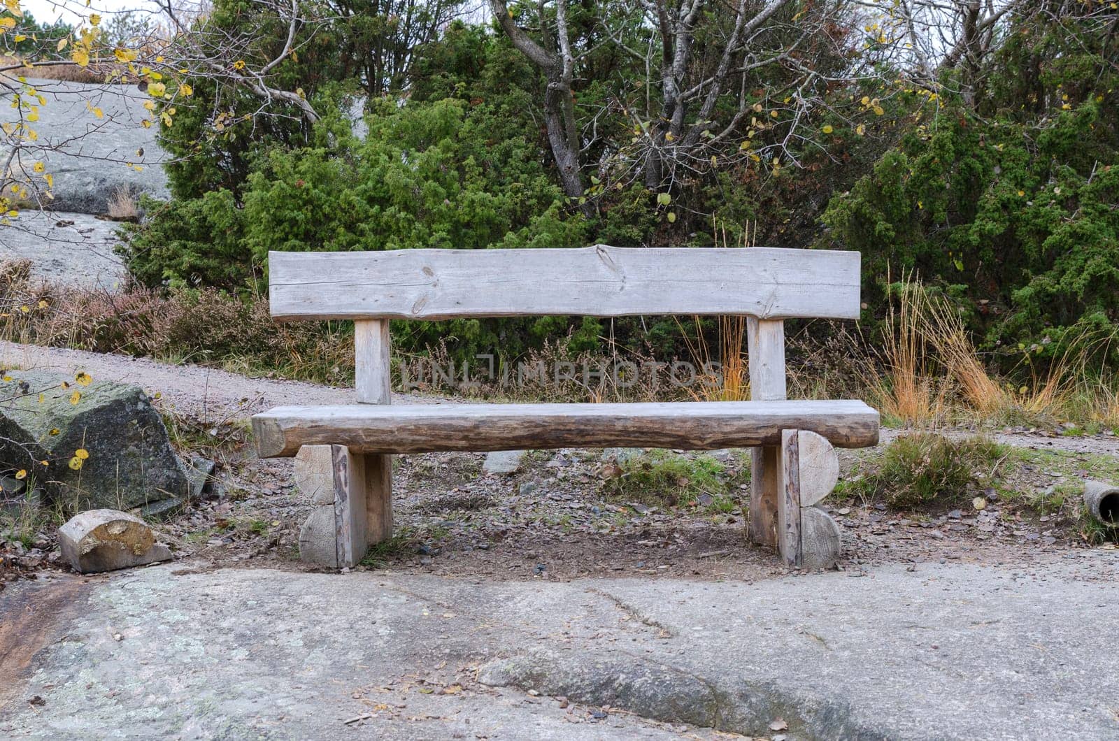 old bench made of rustic wood placed in the nature to rest your body