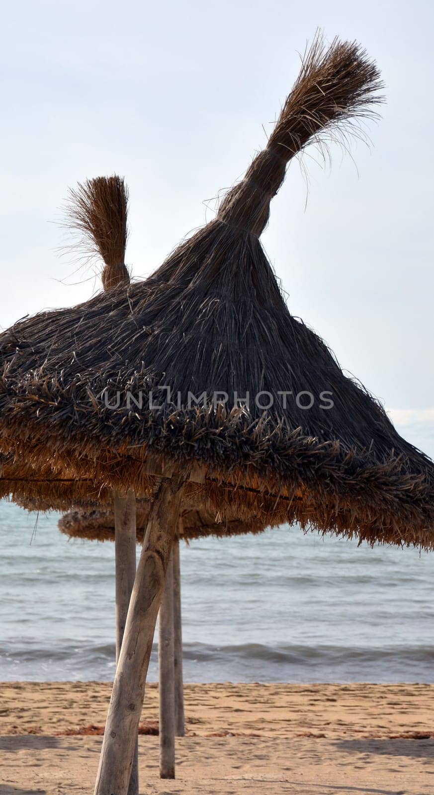 Parasol with thatched roof