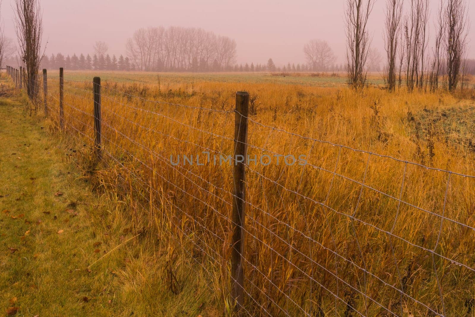 Misty autumn prairie landscape in the rain with fence line.