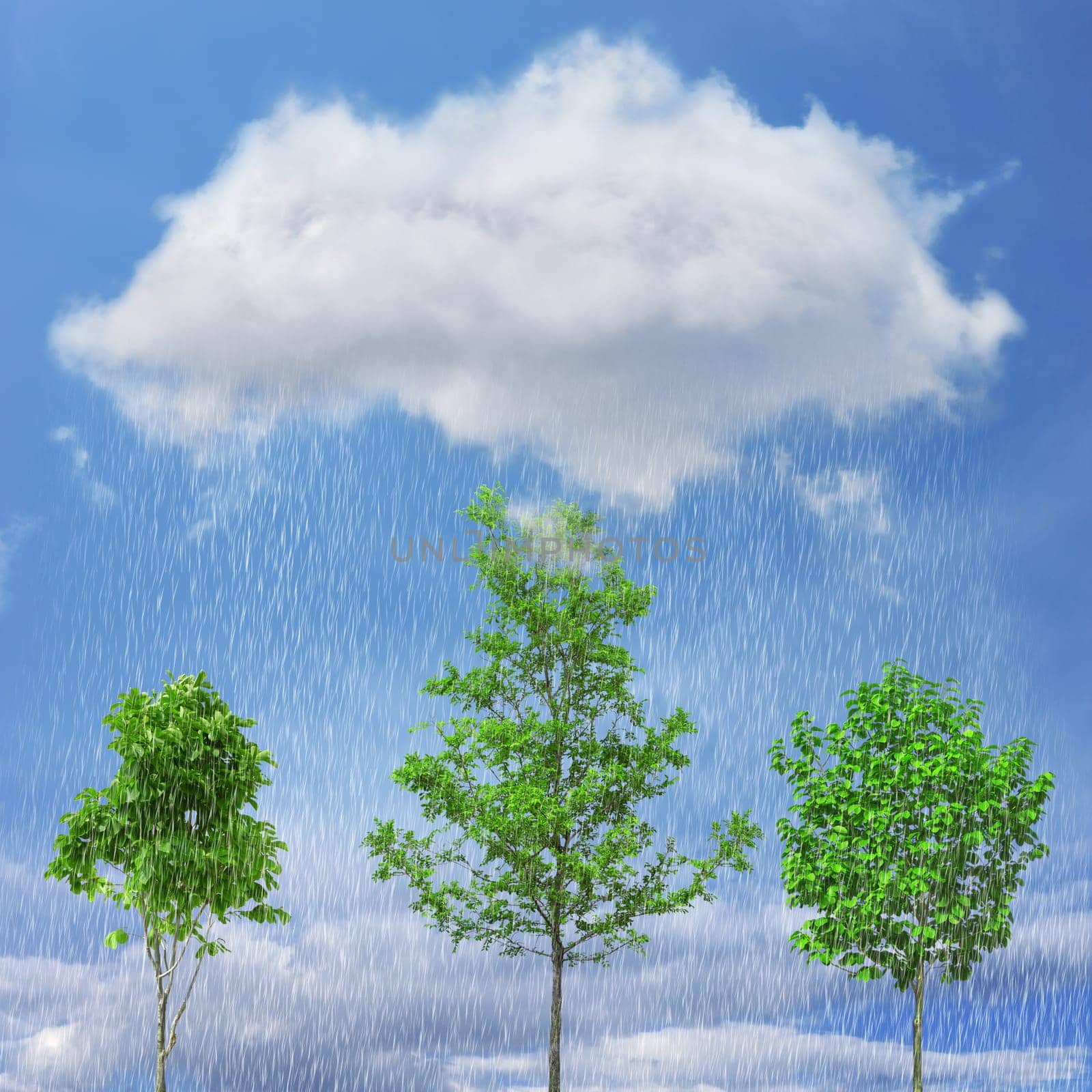 View of the green trees below a rainy cloud
