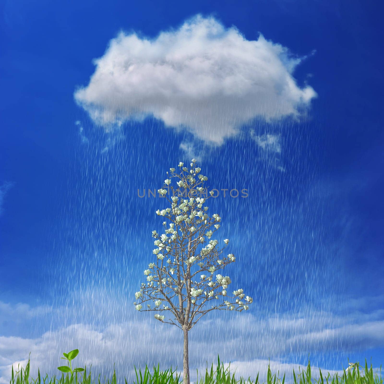 Growth and success concept in the form of a small blooming tree and green grass underneath a rain cloud