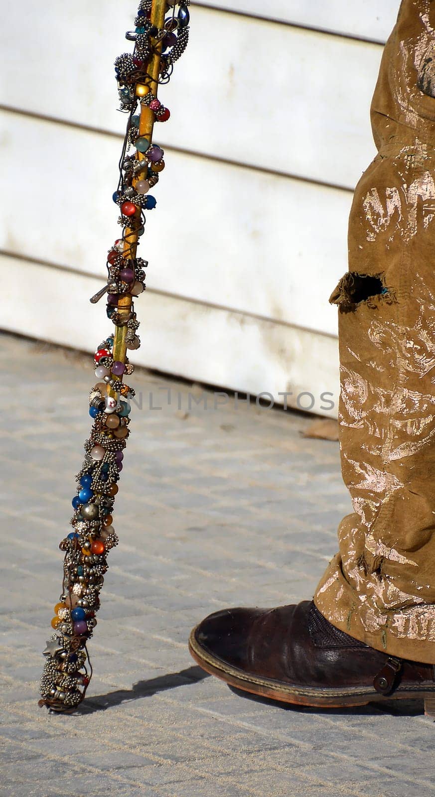 Walking stick of a life artist