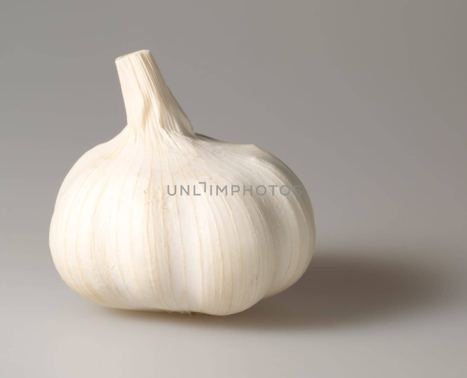 Garlic Bulb Close Up on grey background.