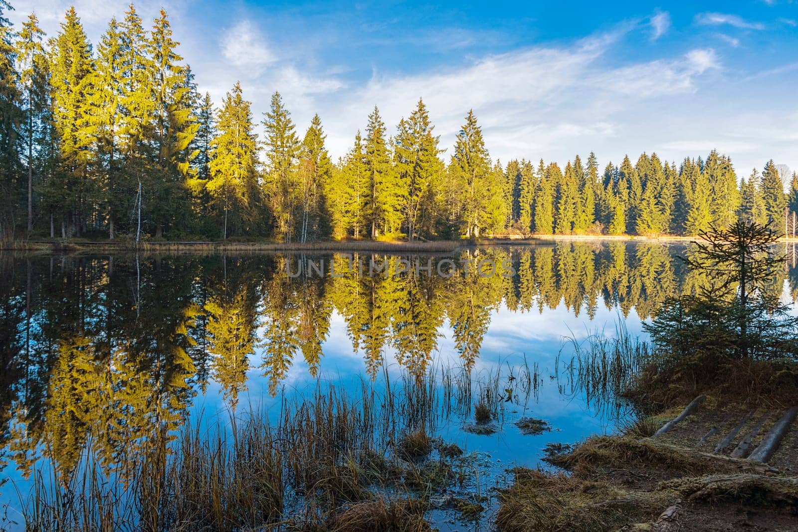 Etang de la Gruére