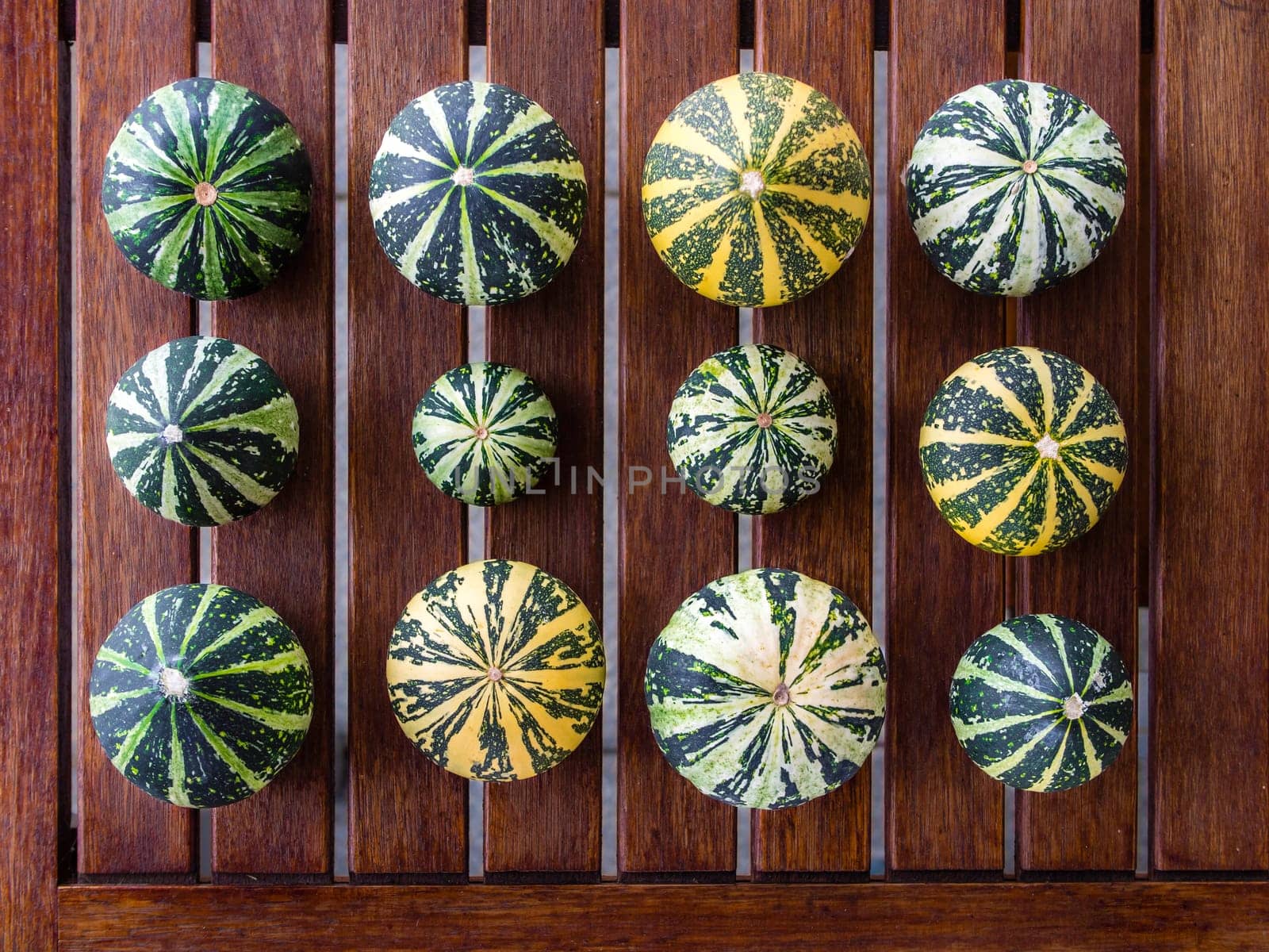 Still life with variety of green and yellow pumpkins cucurbita pepo spread on wooden table viewed from top, useable as seasonal autumn harvest Halloween housing decoration illustration